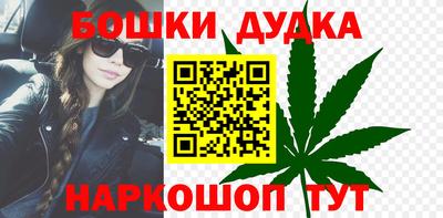 соль ск Новодвинск