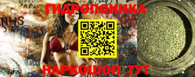индика Обнинск