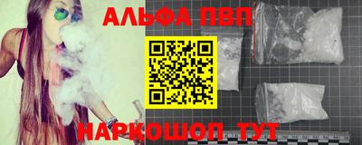 индика Обнинск