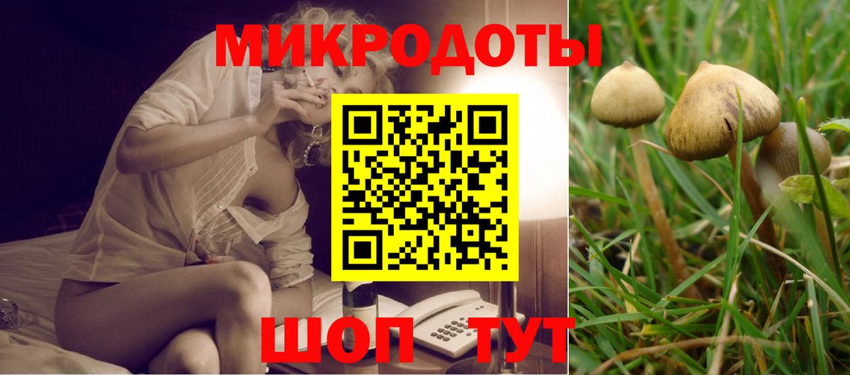 Галлюциногенные грибы Magic Shrooms Дагестанские Огни